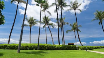 Outdoor wedding area