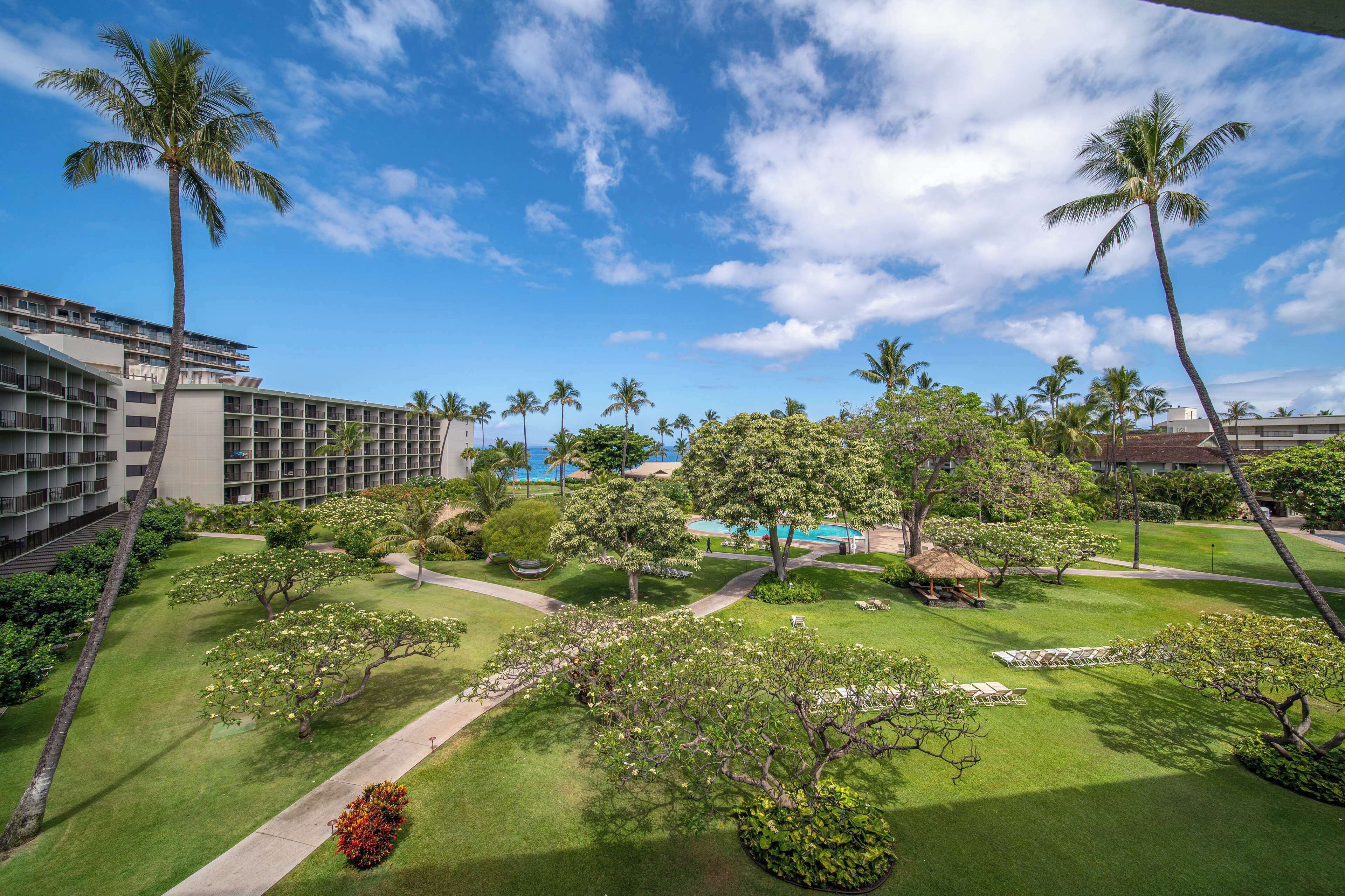 Un hotel con piscina, palmeras y un césped cuidado.