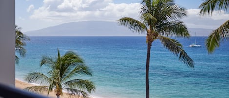 Vue sur la plage/l’océan