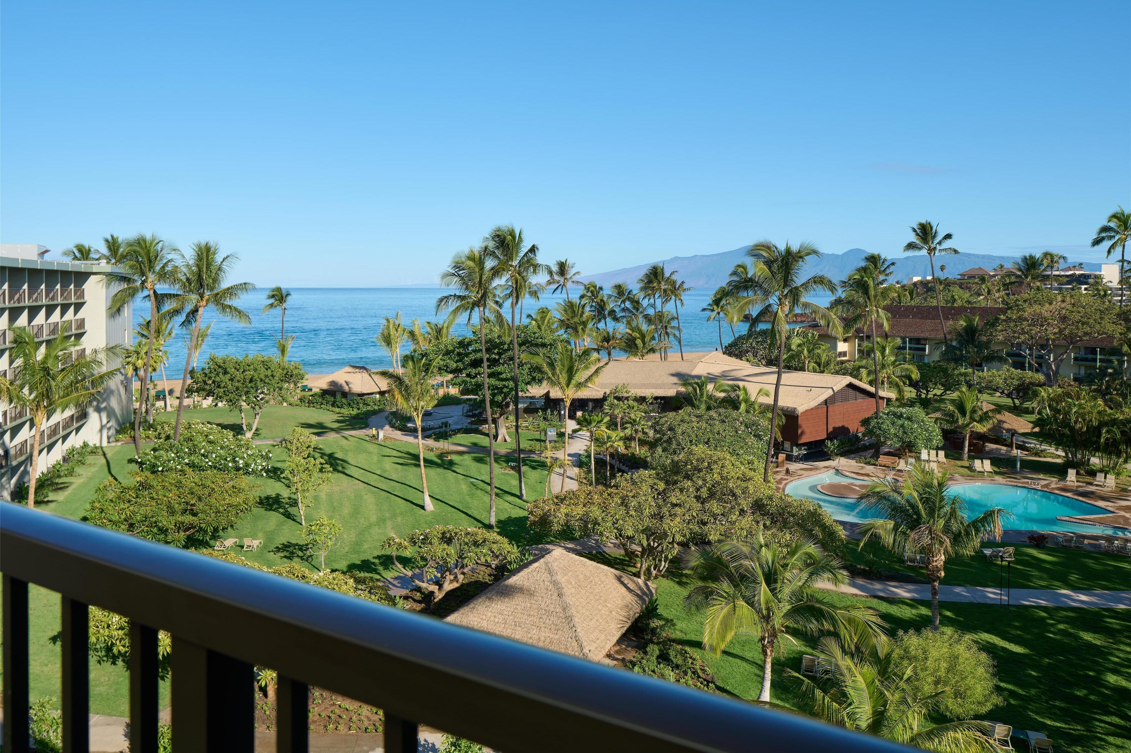 A resort with a pool, palm trees, and a view of the ocean.
