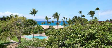 A resort with a pool, palm trees, and a view of the ocean.