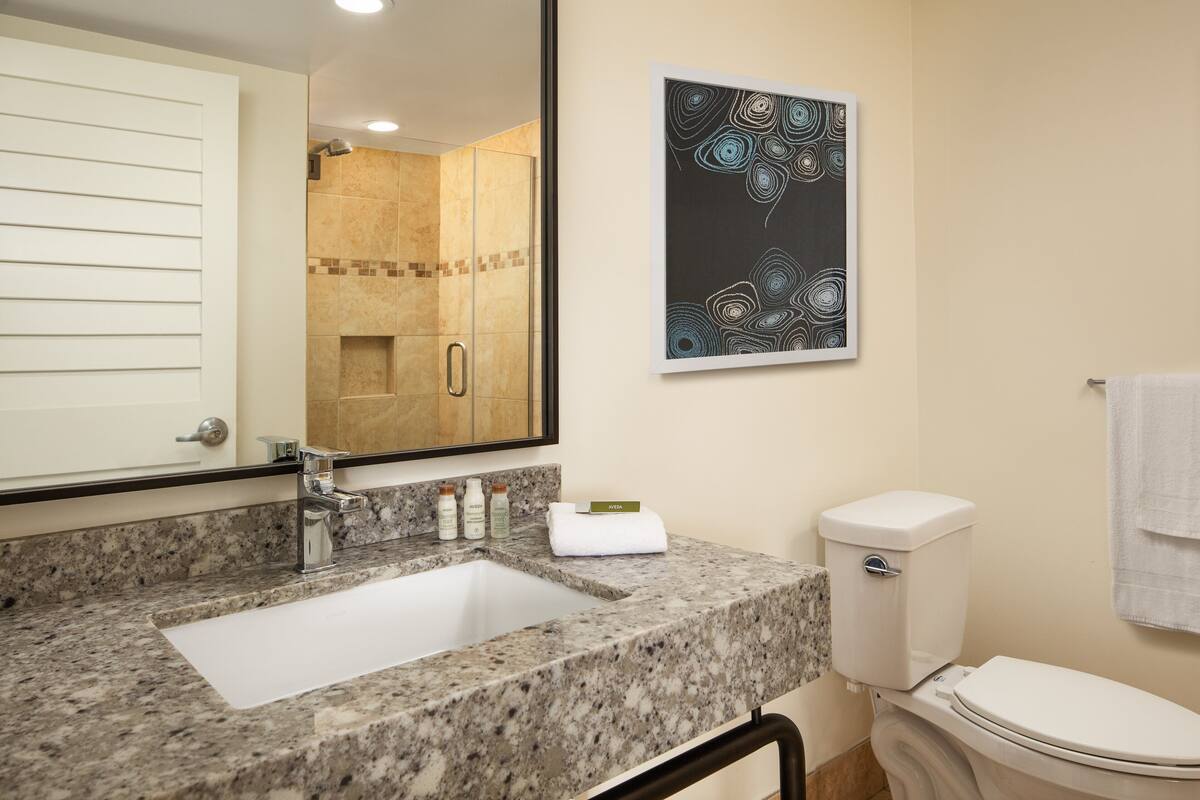 Een badkamer met een wastafel van graniet, een spiegel, een toilet en een douche.