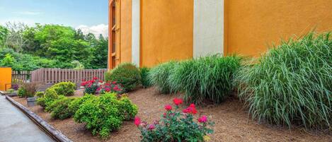 A building with a yellow exterior and a landscaped garden with various plants and flowers.