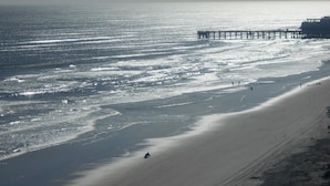 On the beach, beach towels, beach volleyball - Ocean Breeze Club Hotel (Daytona Beach)