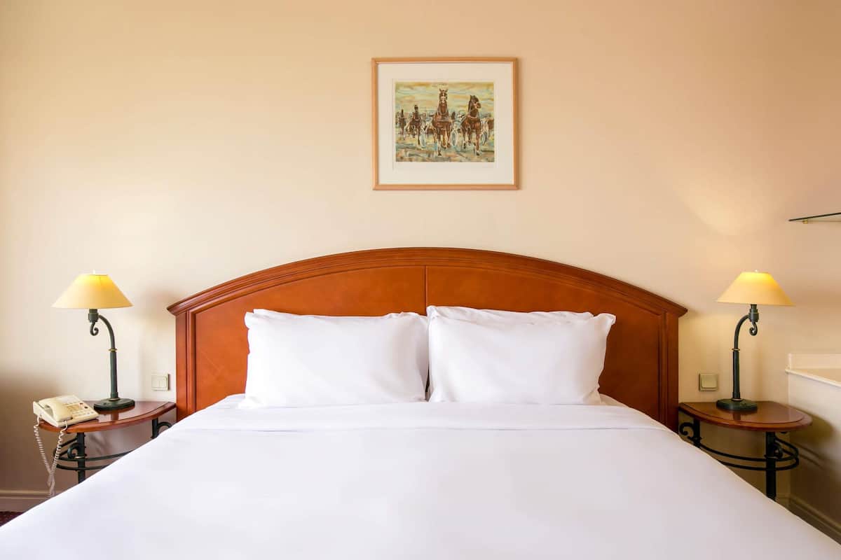 Superior Room, 1 Double Bed | Egyptian cotton sheets, premium bedding, pillowtop beds, minibar