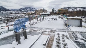 Ice skating