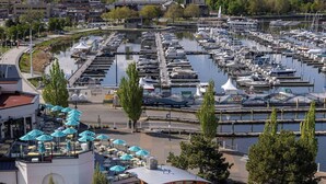 A marina with boats, a swimming pool with umbrellas, and a mountainous backdrop.