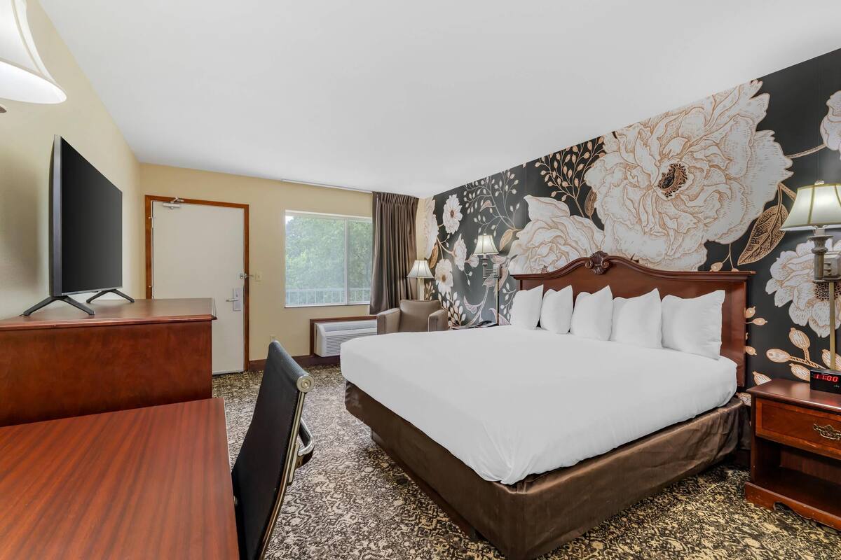 A hotel room with a large bed, a desk, a chair, a TV, and a floral wall mural.