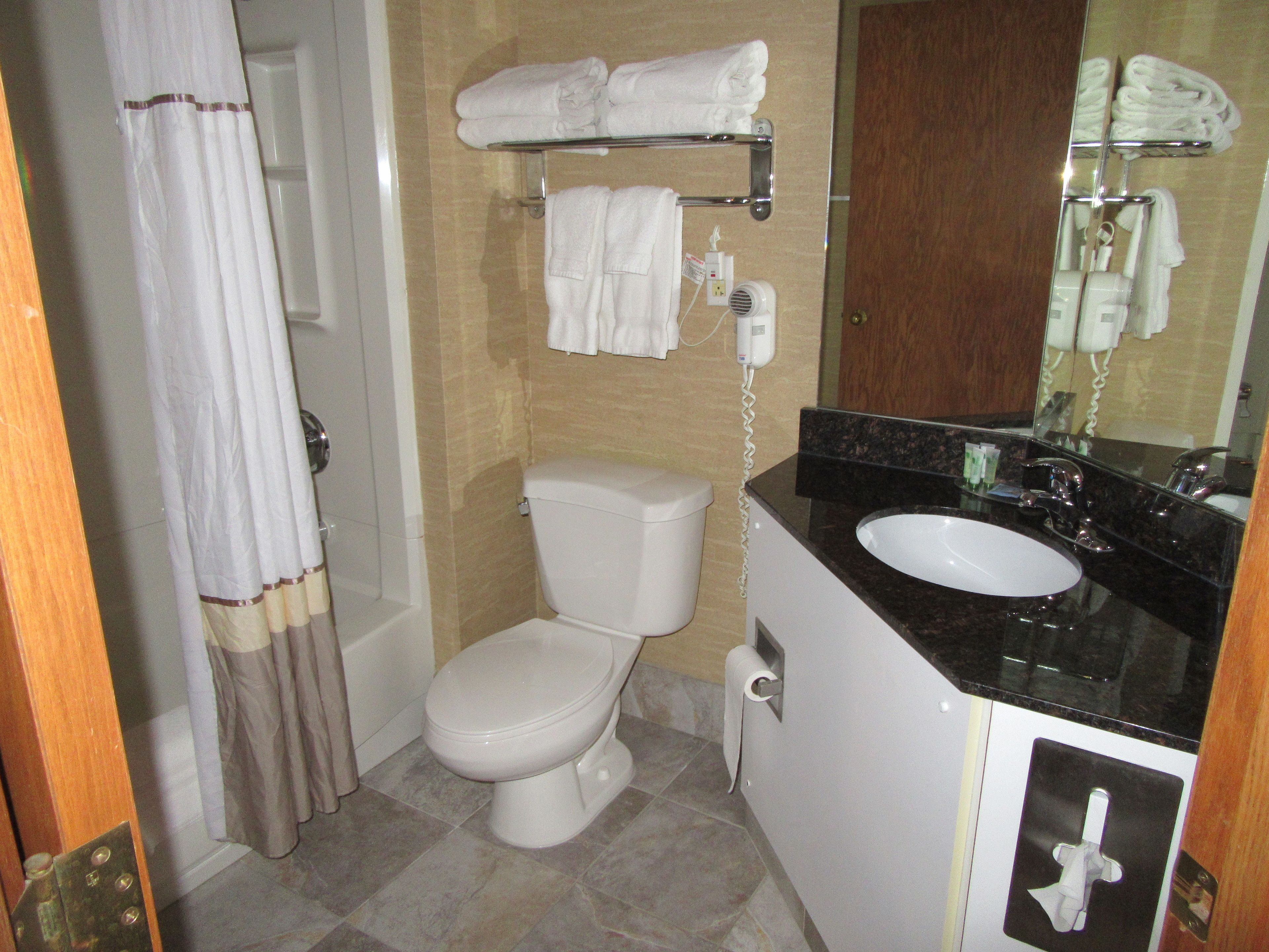 standard room, 1 king bed, non smoking | bathroom | shower, free toiletries, hair dryer, towels