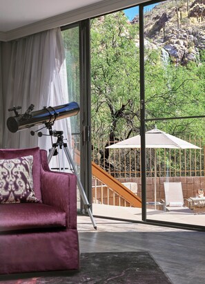 Presidential Suite, 1 King Bed | View from room