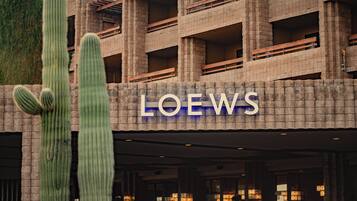 Un edificio con un letrero que dice "LOEWS" y un cactus grande en su fachada.