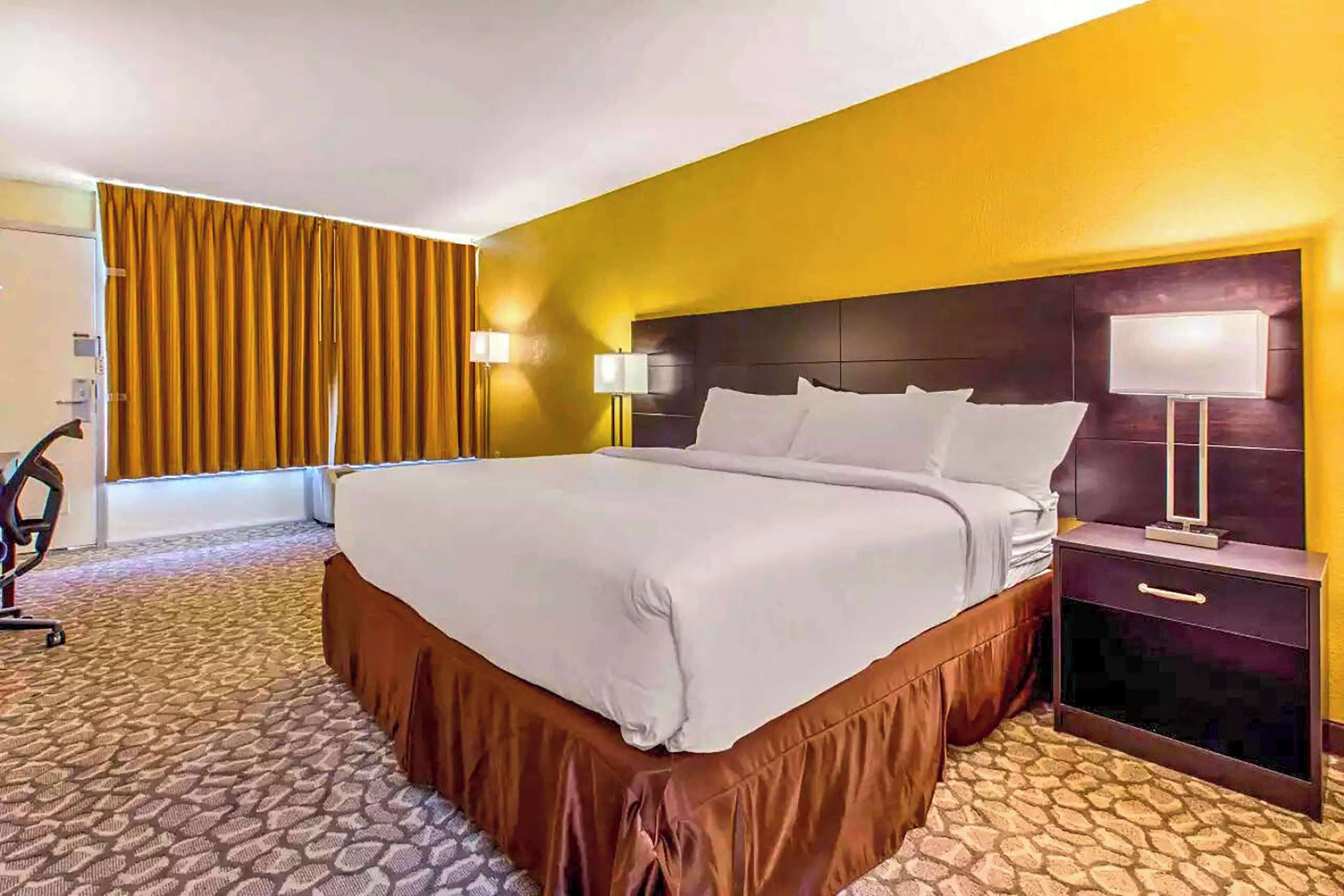 Roupas de cama de algodão egípcio, roupas de cama premium