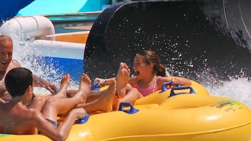 Enjoy thrilling water slides and pools at this outdoor water park.