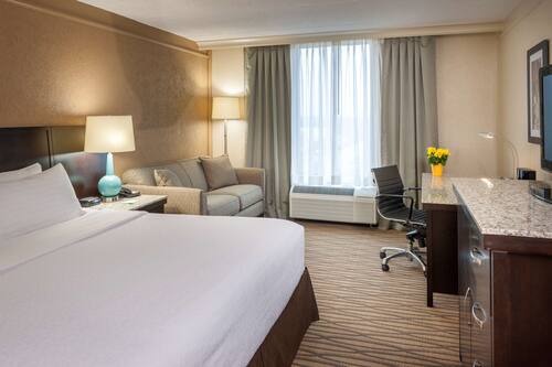Standard Room, 1 King Bed, Non Smoking, Refrigerator (with Sofabed)