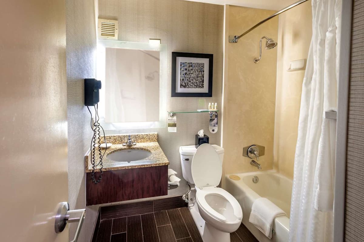 Bathroom | Combined shower/tub, hair dryer, towels