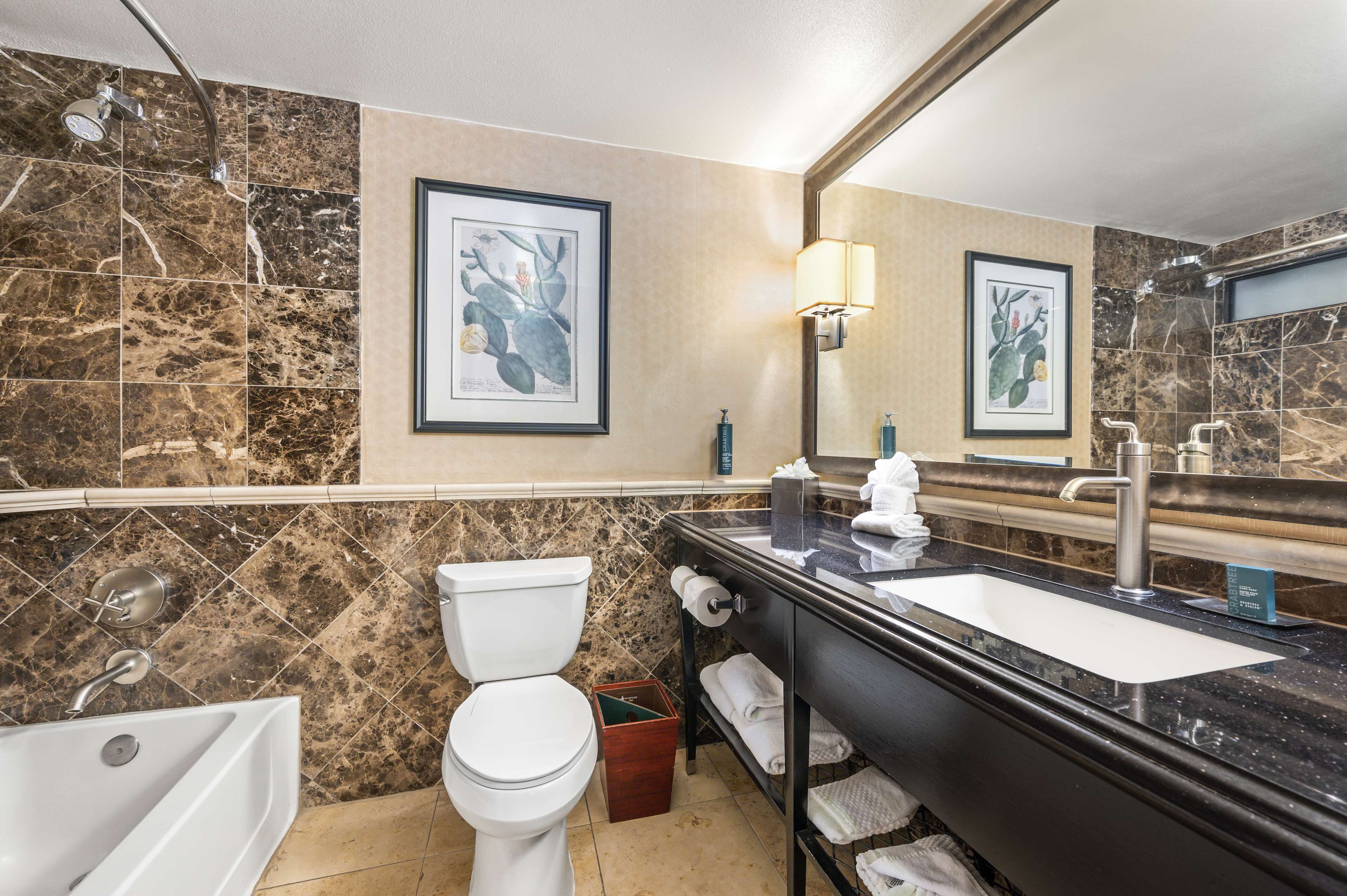 combined shower/bathtub, designer toiletries, hair dryer, towels