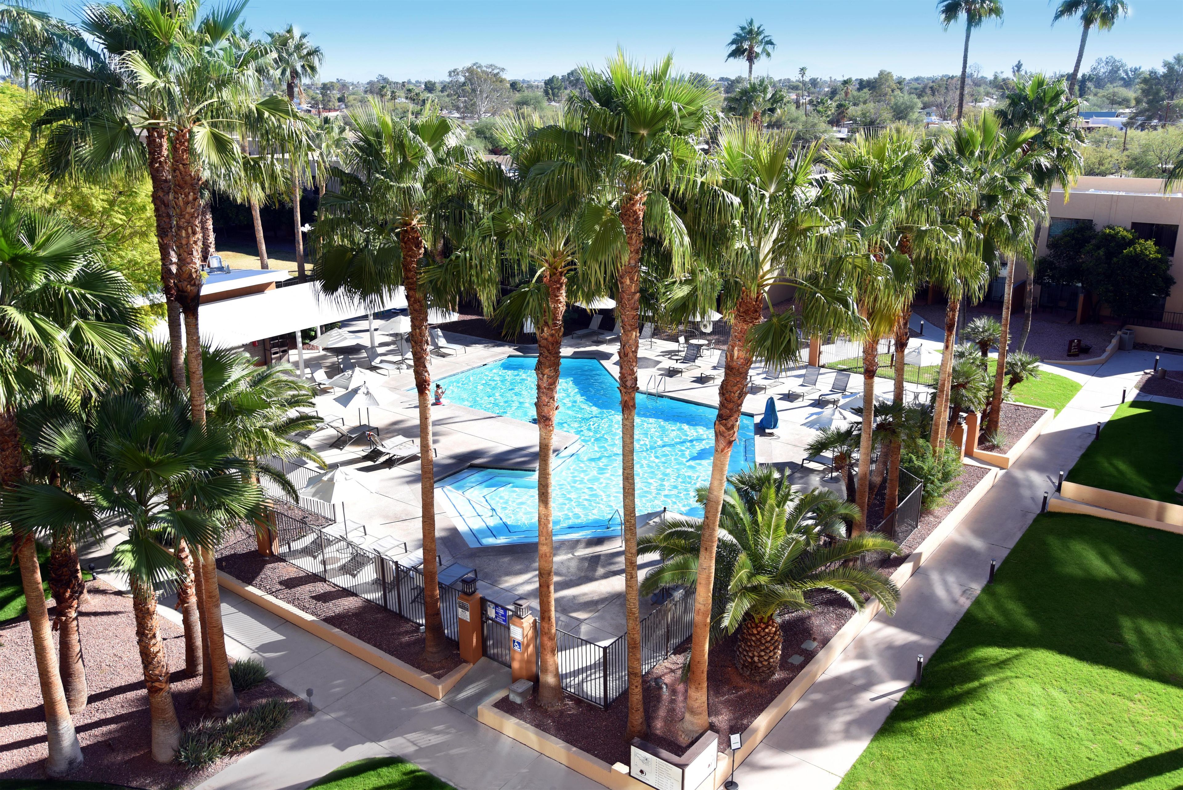 A pool area surrounded by palm trees, with lounge chairs and a clear blue pool.