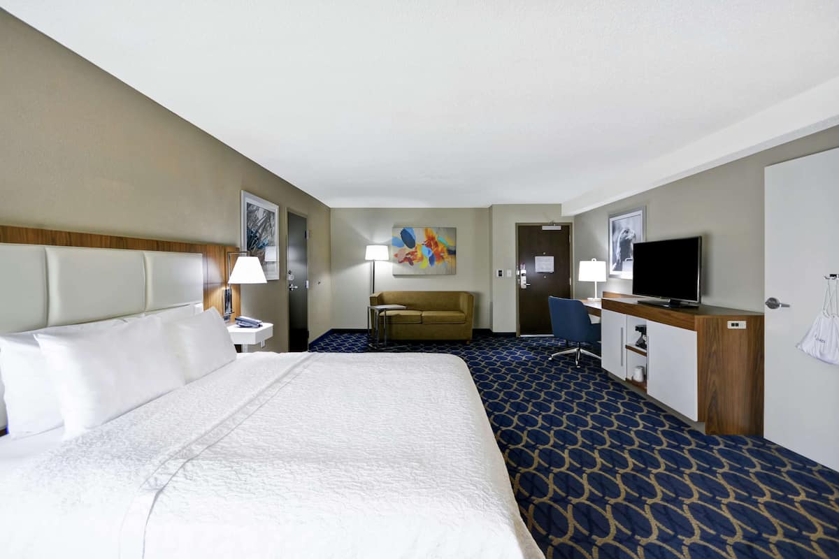 Room, 1 King Bed, Accessible (3x3 Shower)