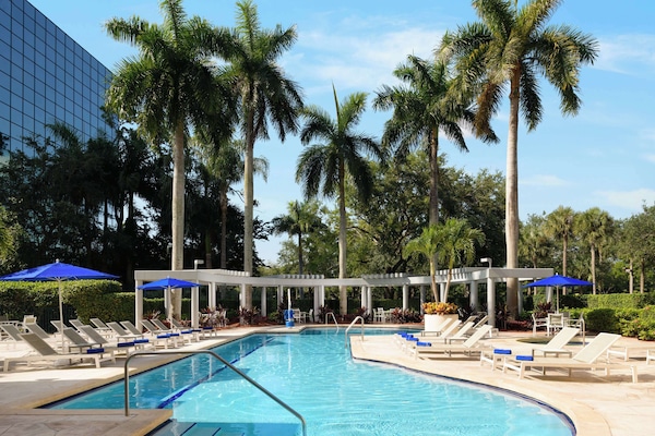 Outdoor pool, sun loungers