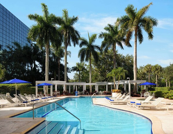 Outdoor pool, sun loungers
