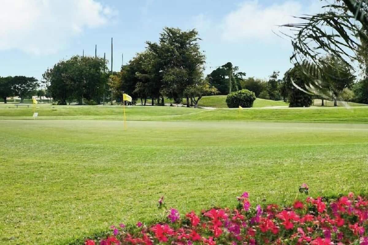 Un terrain de golf avec un drapeau, des arbres et un ciel dégagé.