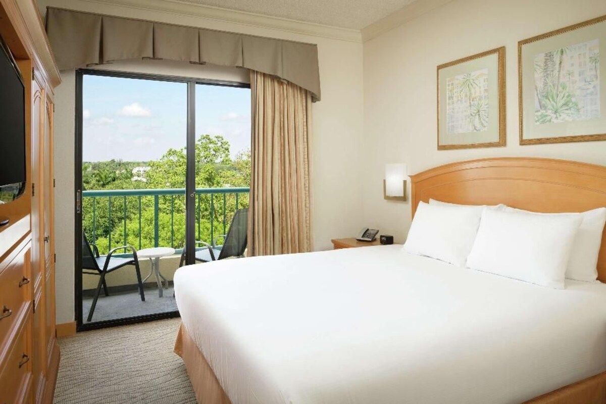 A hotel room with a large bed, a desk, a chair, a TV, and a balcony with a view of greenery.