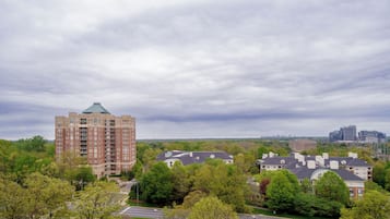 A high-rise building with a distinctive green roof, surrounded by lush greenery and a road.