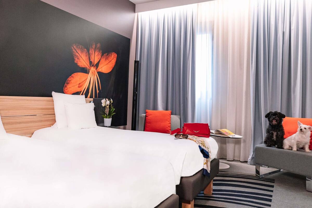 Superior Room, 2 Twin Beds | Hypo-allergenic bedding available, down comforters, in-room safe, desk