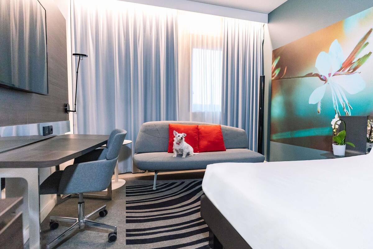 A hotel room with a bed, a desk, a chair, a sofa with a red pillow, a TV, and a large window with curtains.