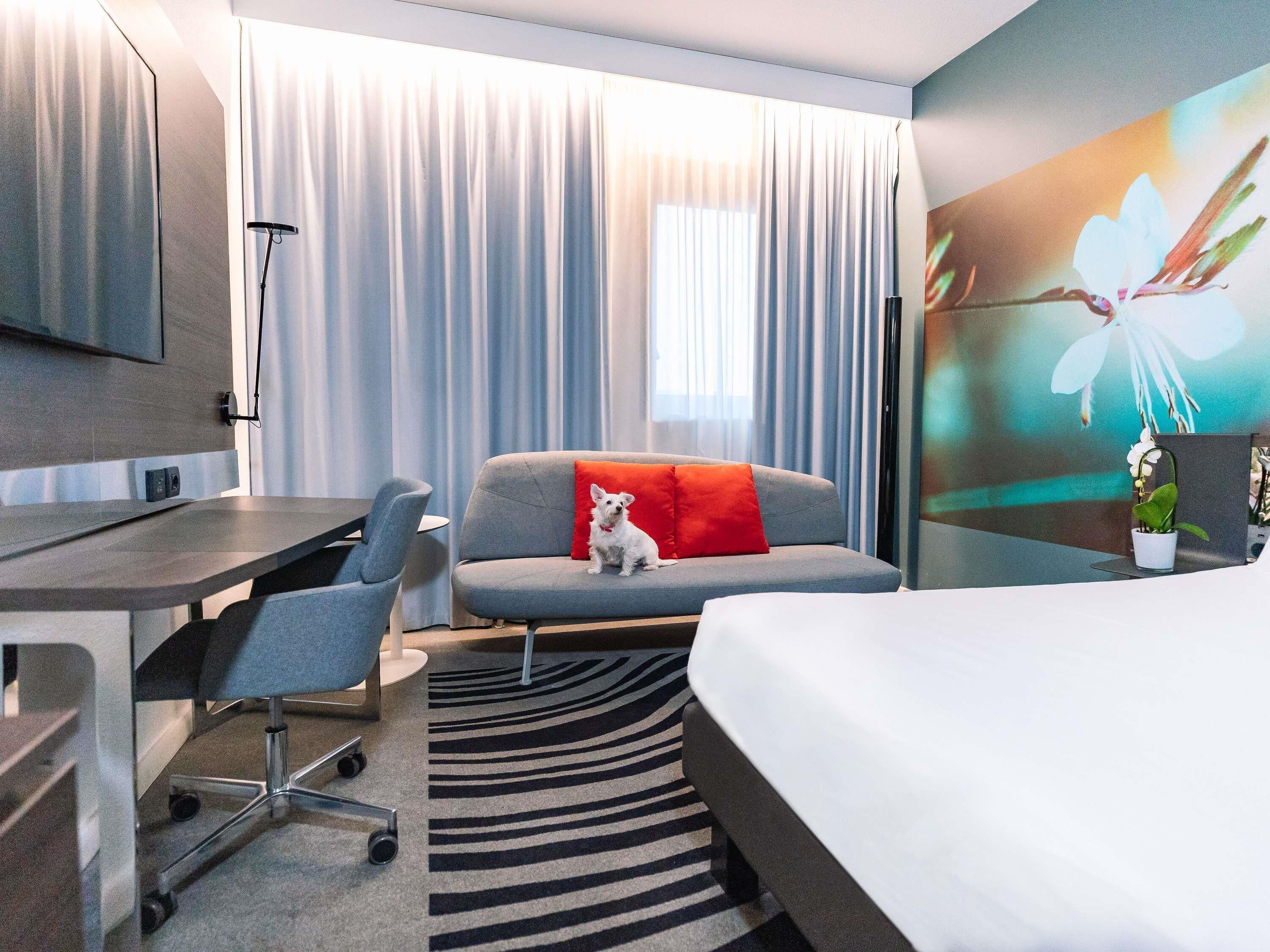Ein Hotelzimmer mit Bett, Schreibtisch, Stuhl, einer roten Kissen ausgelegten Couch, Fernseher und einem großen Fenster mit Vorhängen.