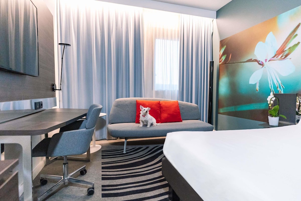 A hotel room with a bed, a desk, a chair, a sofa with a red pillow, a TV, and a large window with curtains.