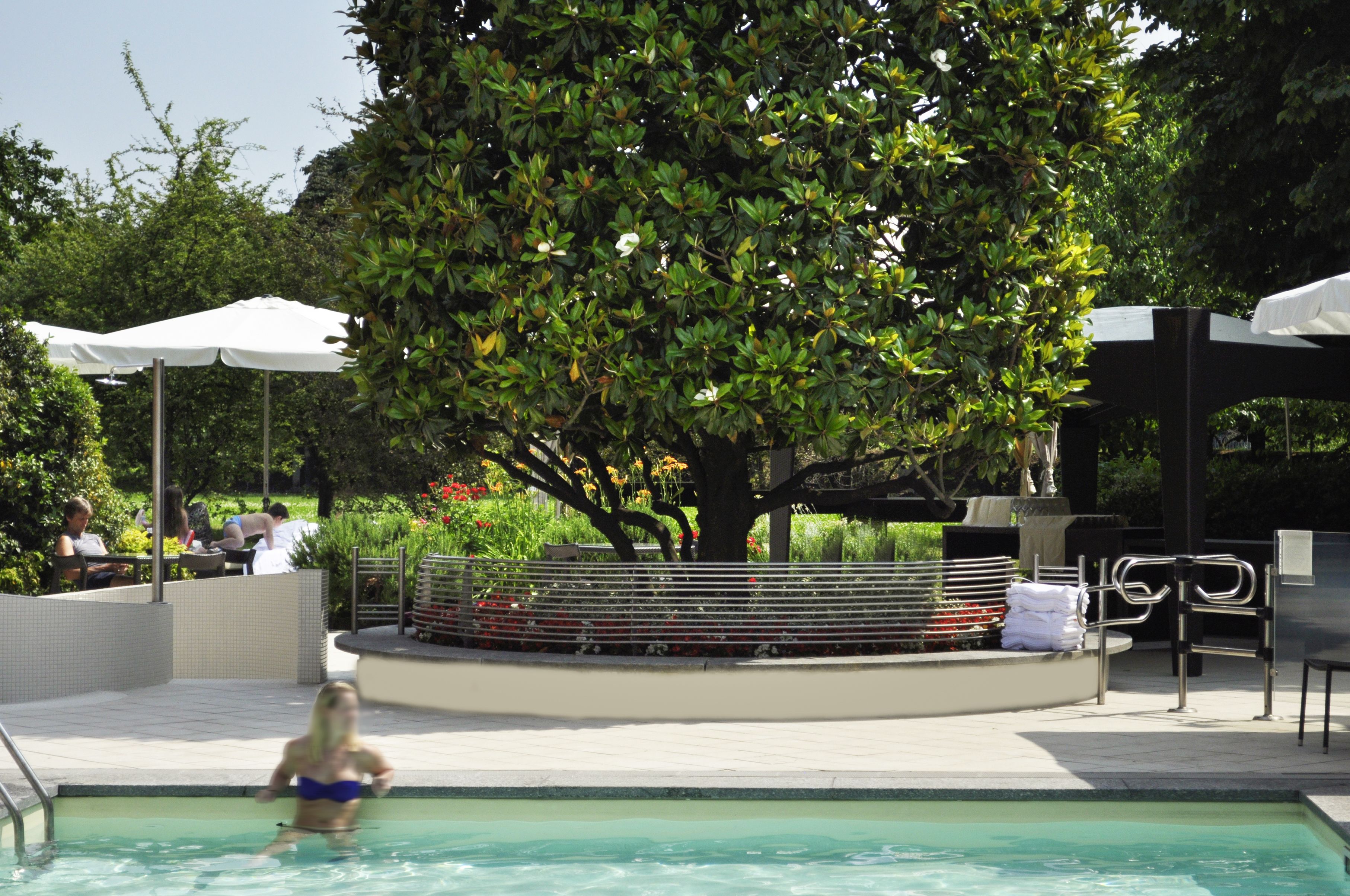 A pool area with a tree, umbrellas, and seating.