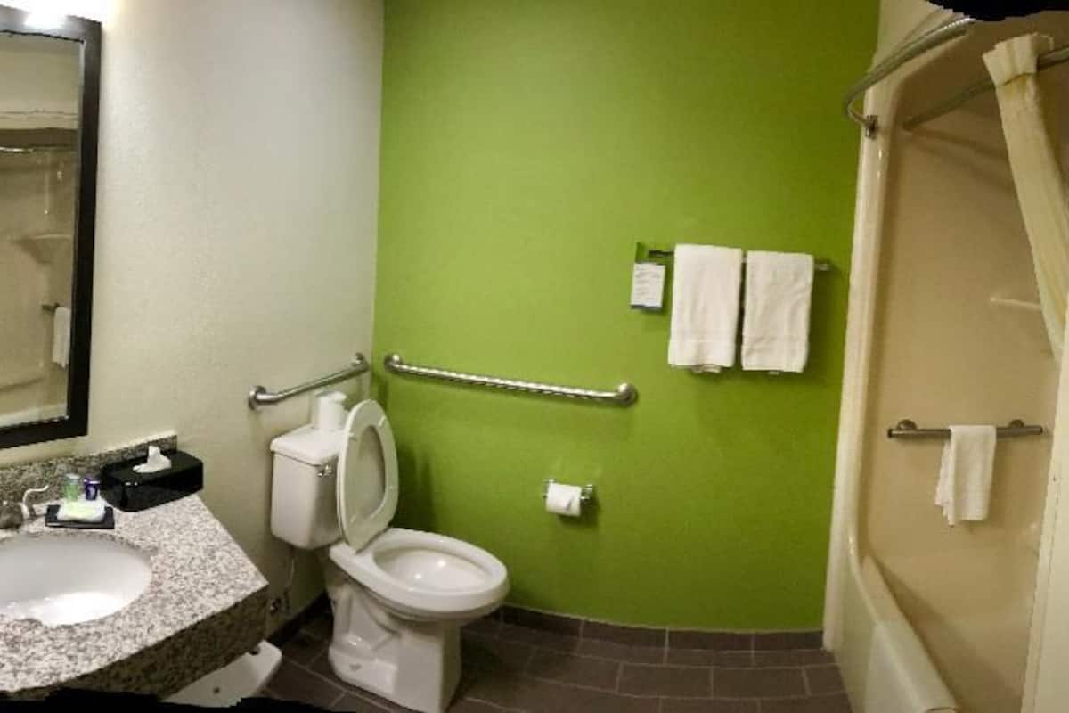 standard room, 1 king bed, accessible, non smoking (roll-in shower) | bathroom | hair dryer, towels