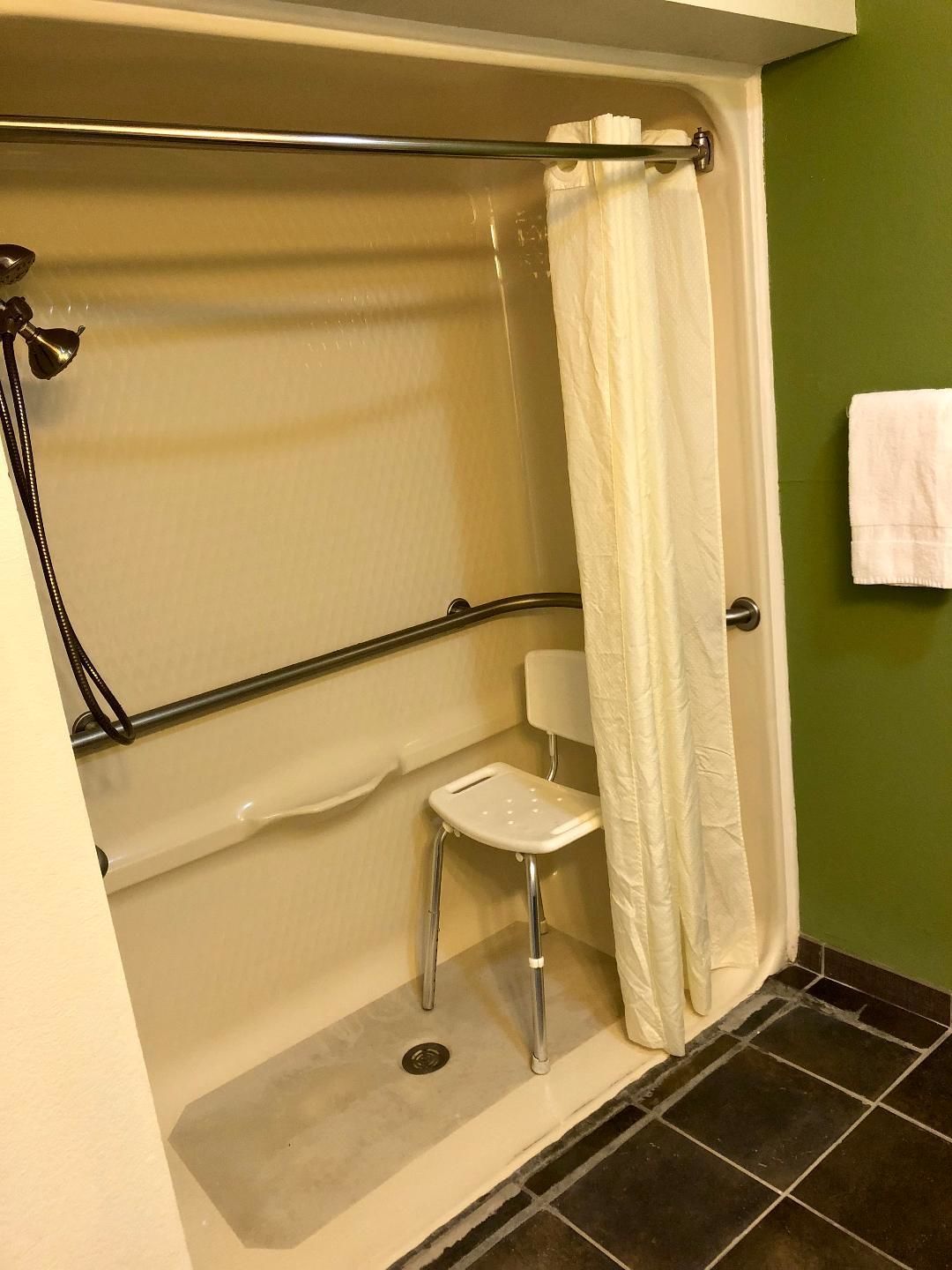standard room, 1 king bed, accessible, non smoking (roll-in shower) | bathroom shower