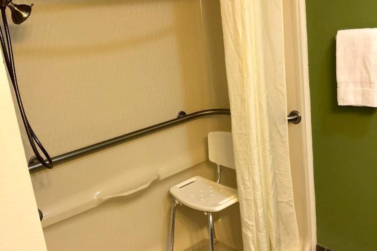 standard room, 1 king bed, accessible, non smoking (roll-in shower) | bathroom shower
