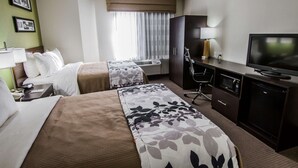 A hotel room with two beds, a desk with a TV, a chair, and a wardrobe.