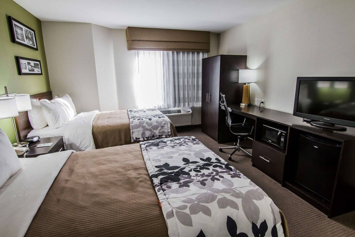 standard double room, 2 double beds, non smoking | desk, iron/ironing board, rollaway beds, free wifi