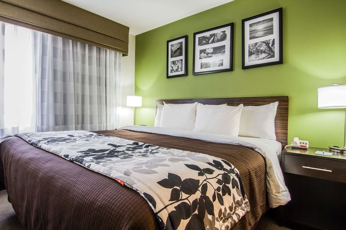 standard room, 1 king bed, accessible, non smoking (roll-in shower) | desk, iron/ironing board, rollaway beds, free wifi