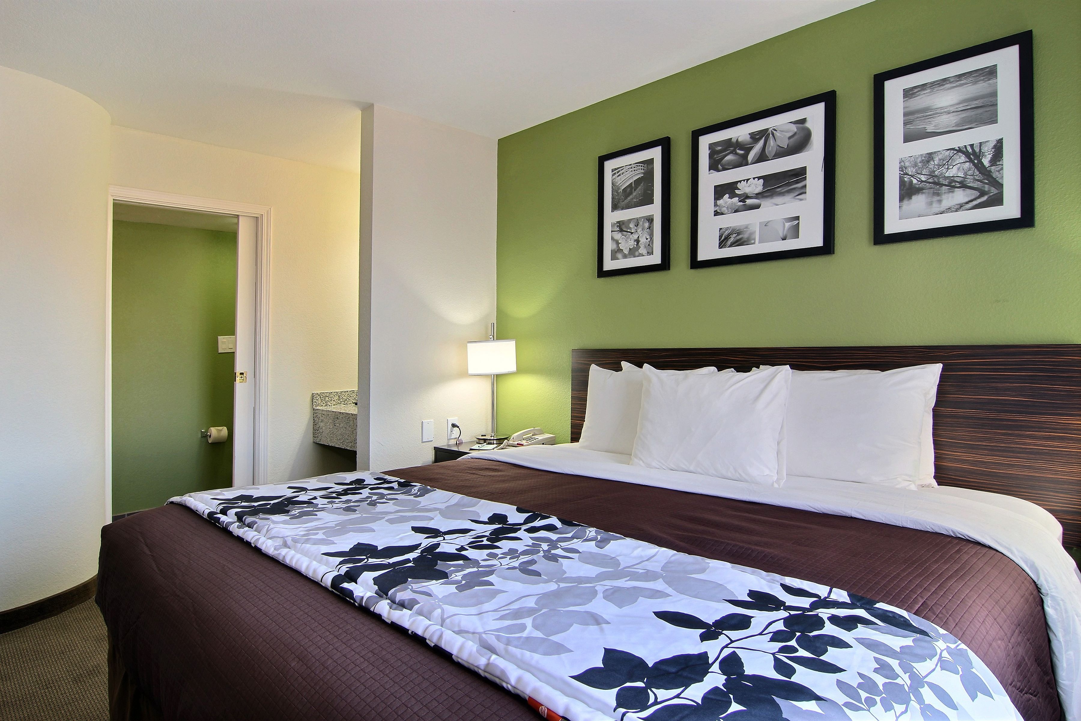 standard room, 1 king bed, non smoking | bathroom | hair dryer, towels