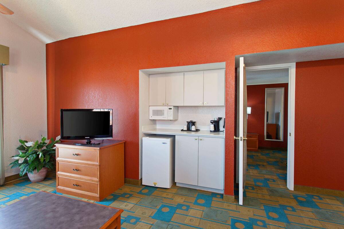 A compact room with a kitchenette, a television, a small refrigerator, and a potted plant.