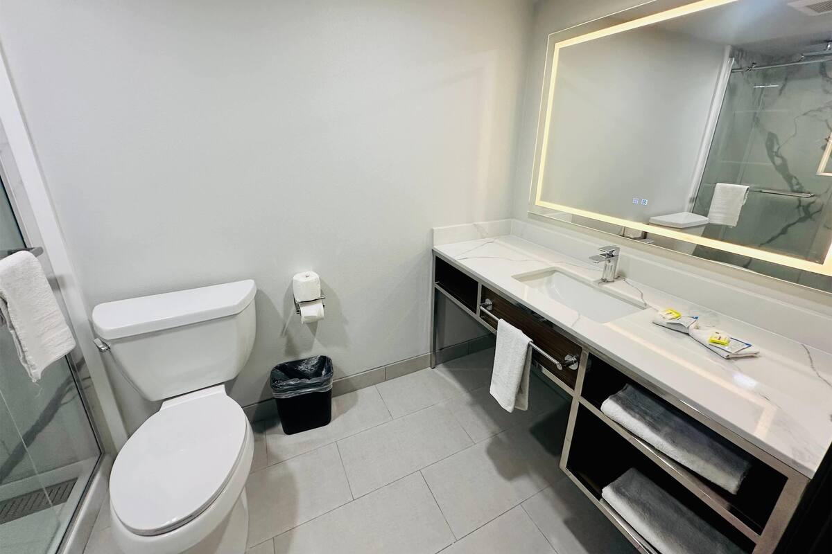 A modern bathroom with a toilet, sink, and mirror.