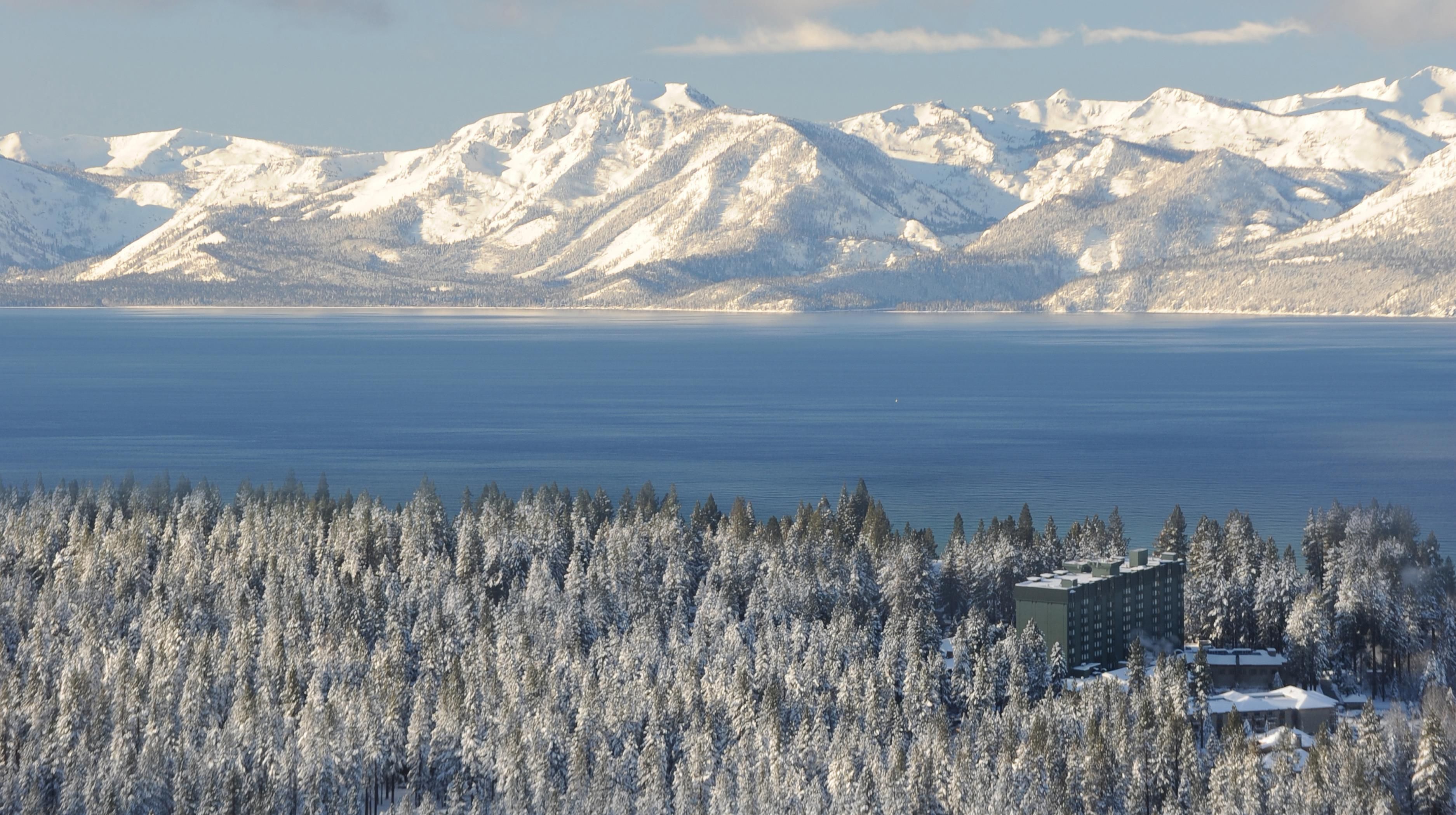 Un bosque cubierto de nieve con un lago y montañas al fondo.