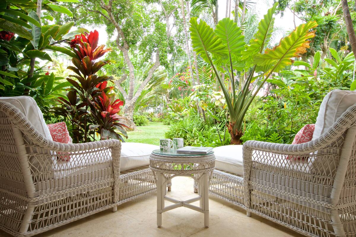 Un conjunto de sofá y mesa de mimbre en un jardín exuberante con plantas tropicales.