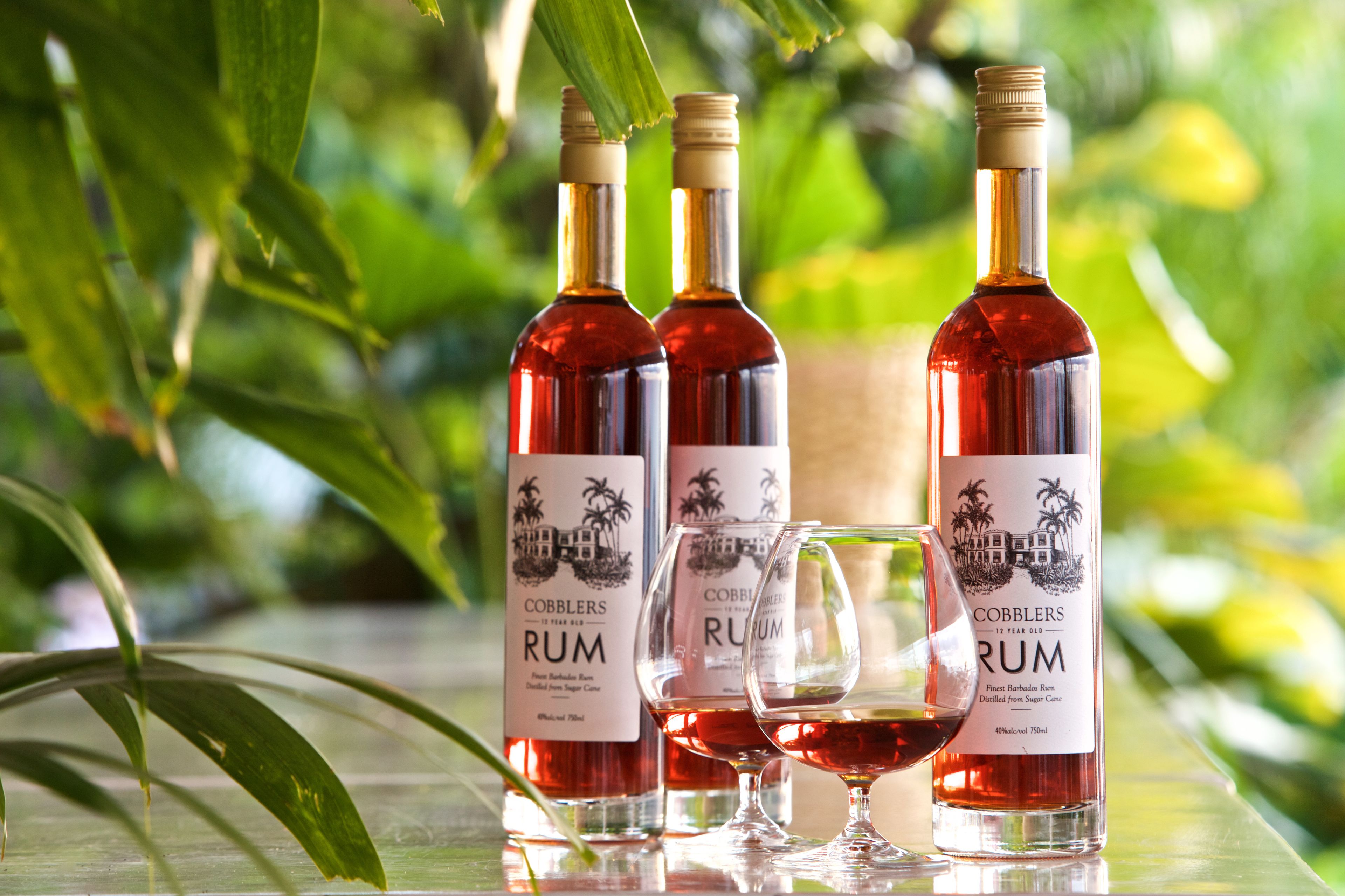 Three bottles of rum and two glasses on a reflective surface with a blurred green background.