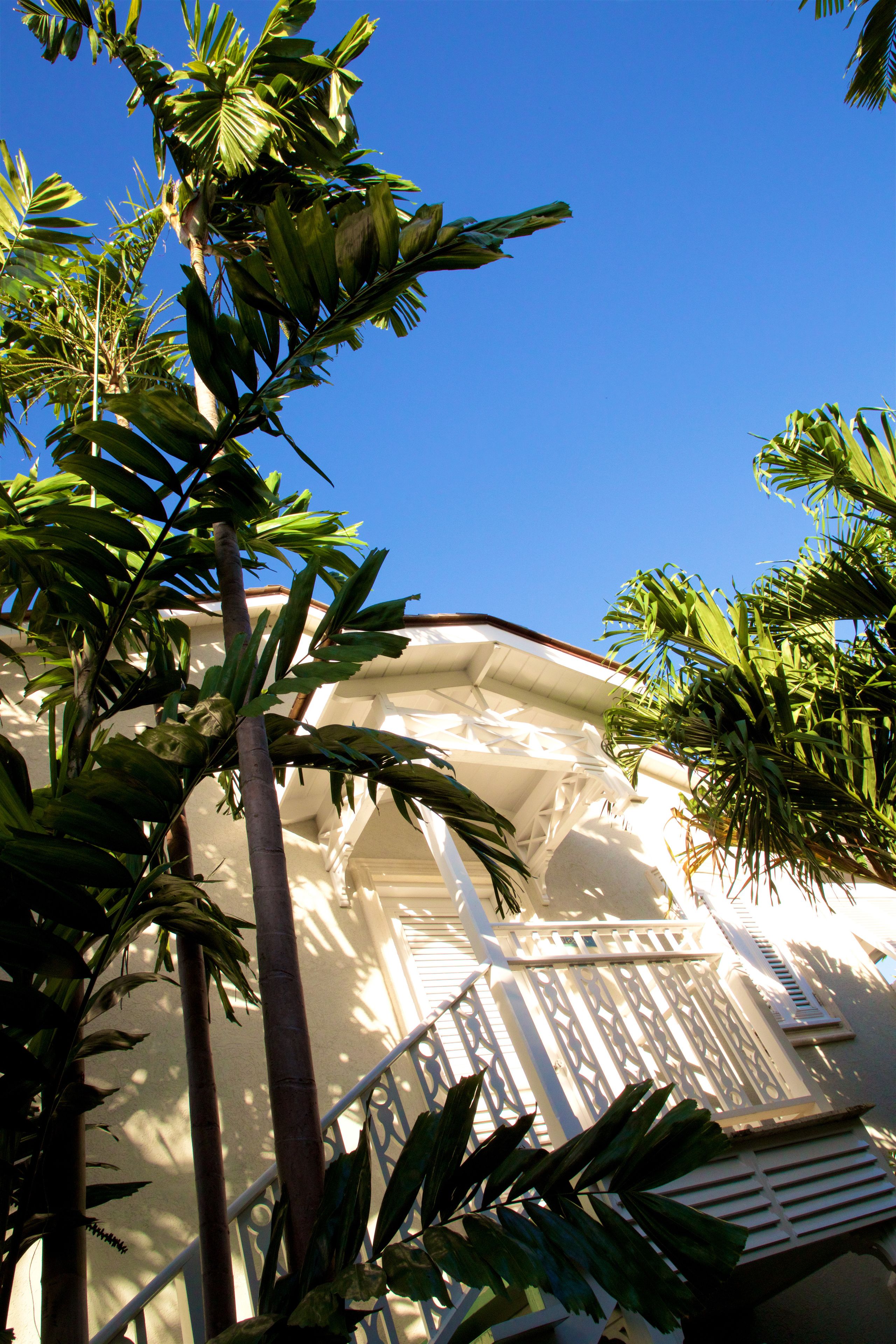 suite, ocean view | view from room