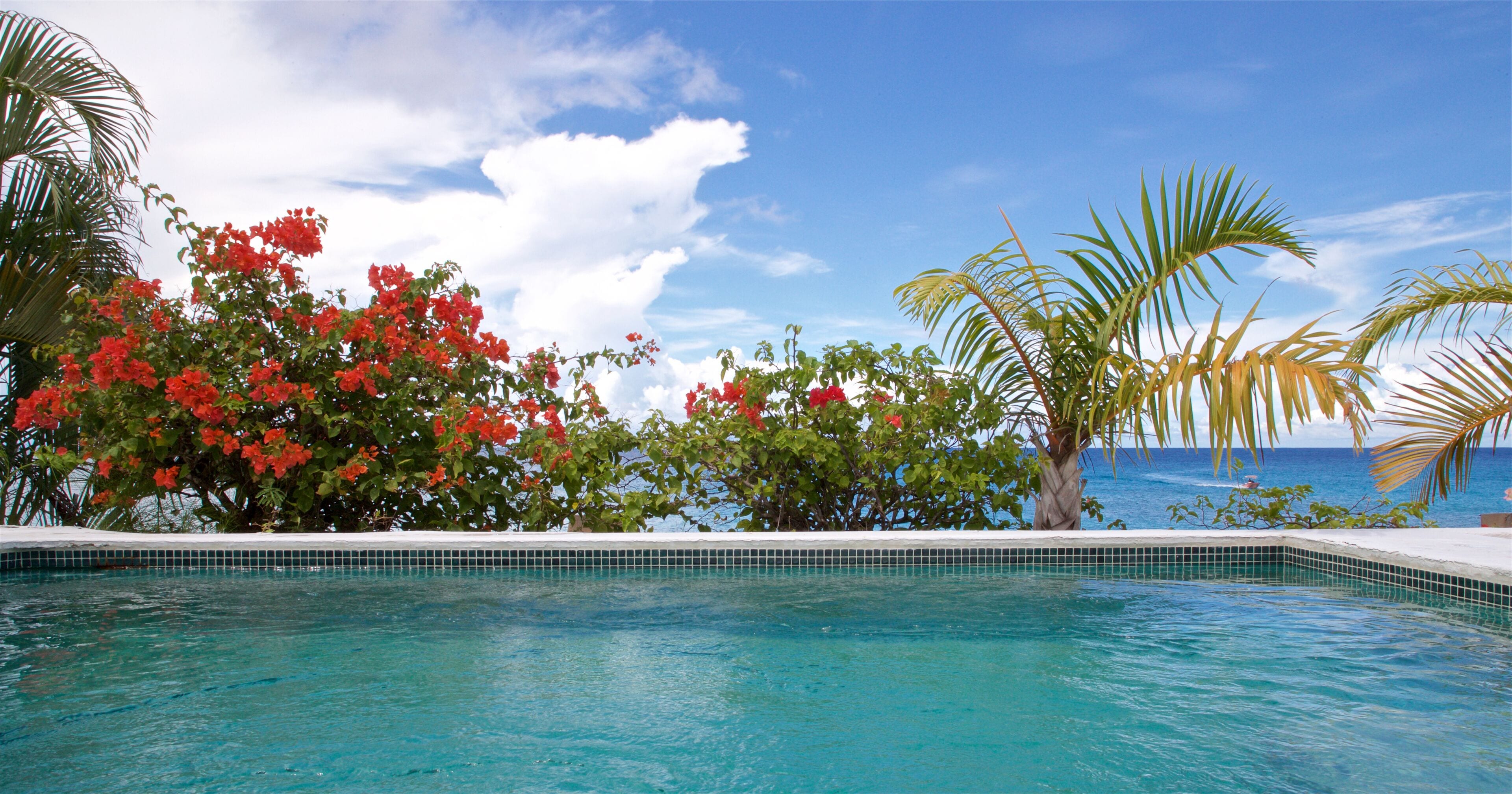 outdoor pool, pool umbrellas, pool loungers