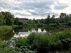 A serene riverside view with a building in the background.