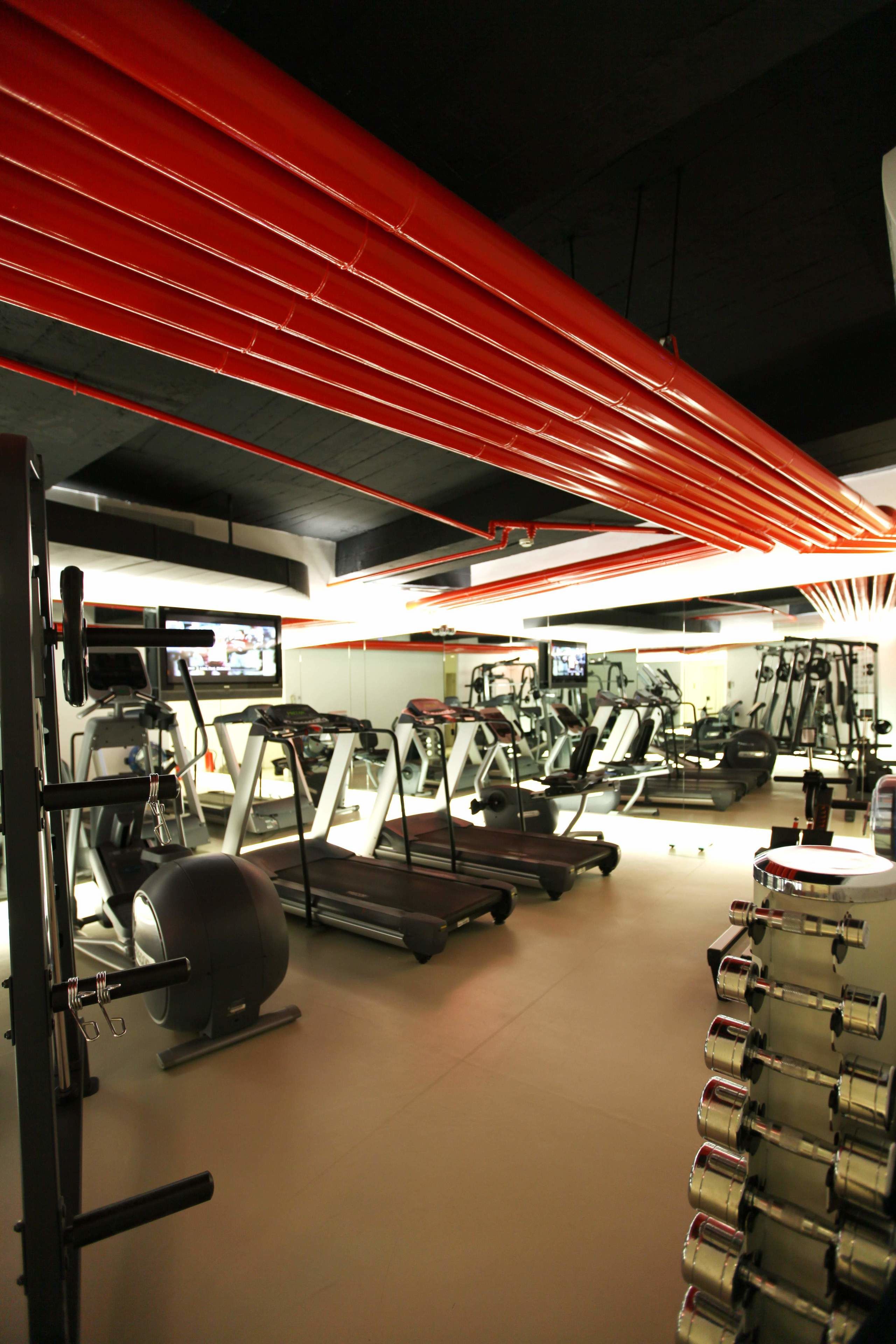 A gym with treadmills, exercise balls, and weight machines.