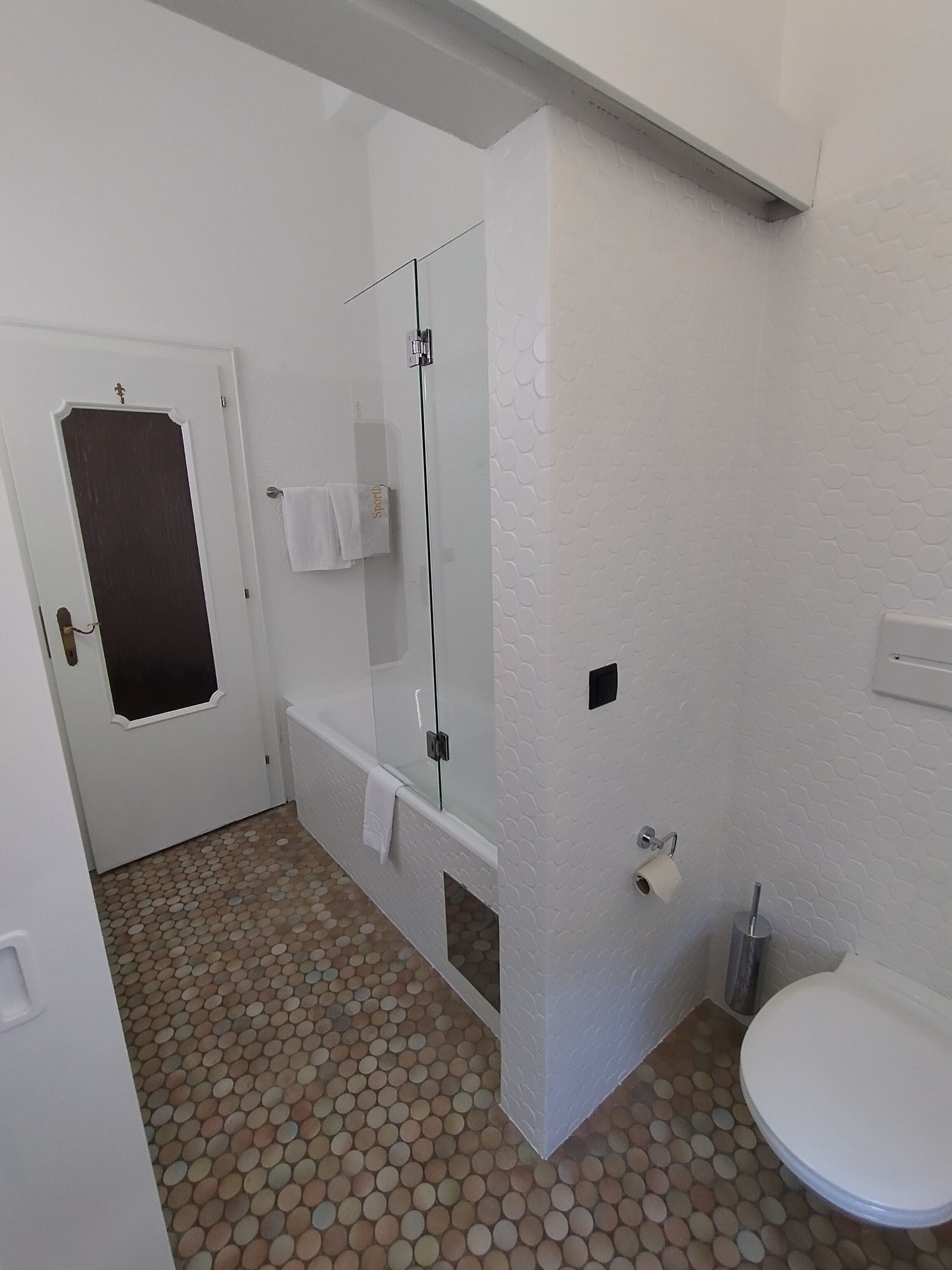 A bathroom with a shower, toilet, and a door with a frosted glass panel.