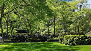 Un parque bien cuidado con césped verde exuberante, árboles y un edificio moderno al fondo.